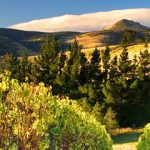 Adderley Head Environmental Law
