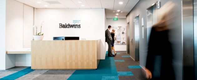 Baldwins Law - Intellectual Property